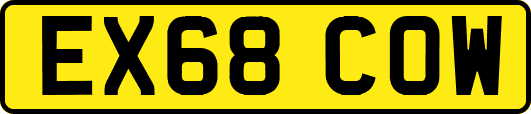 EX68COW