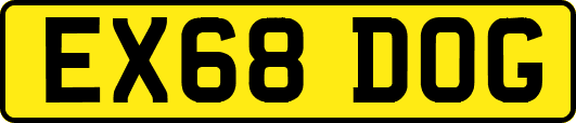 EX68DOG