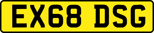 EX68DSG