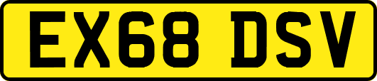 EX68DSV