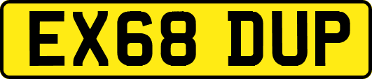 EX68DUP