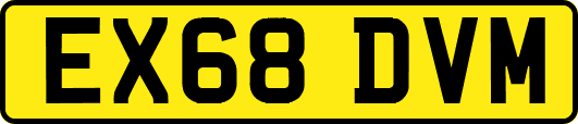 EX68DVM