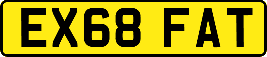 EX68FAT