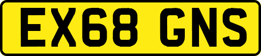 EX68GNS