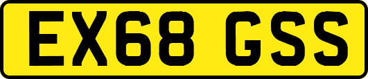 EX68GSS