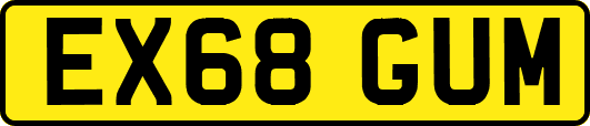 EX68GUM