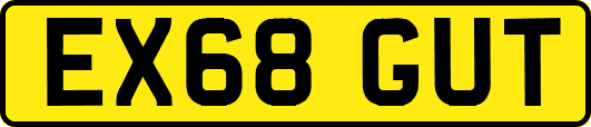 EX68GUT