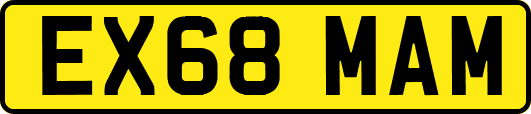 EX68MAM