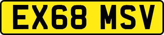 EX68MSV
