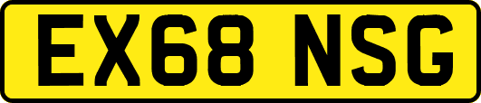 EX68NSG