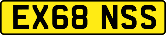 EX68NSS