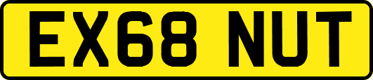 EX68NUT