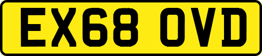 EX68OVD