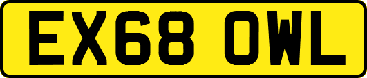 EX68OWL