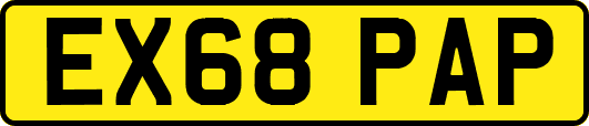 EX68PAP
