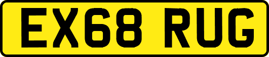 EX68RUG