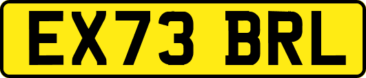 EX73BRL