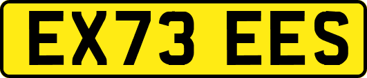 EX73EES
