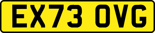 EX73OVG