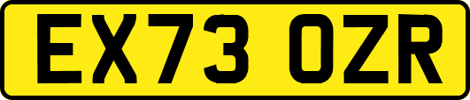 EX73OZR