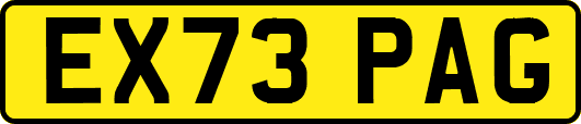 EX73PAG
