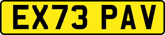 EX73PAV