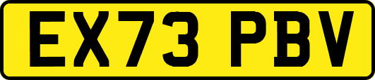 EX73PBV