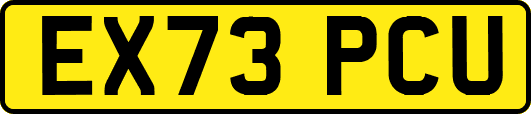 EX73PCU