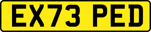 EX73PED