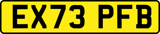 EX73PFB