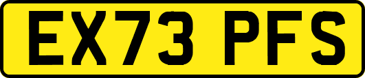 EX73PFS