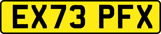 EX73PFX