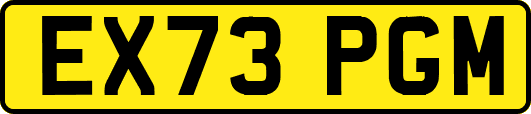 EX73PGM