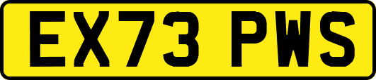 EX73PWS