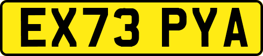 EX73PYA