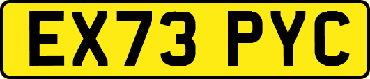 EX73PYC