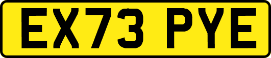 EX73PYE