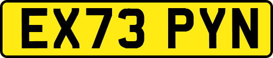 EX73PYN
