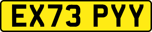 EX73PYY