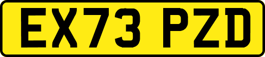 EX73PZD