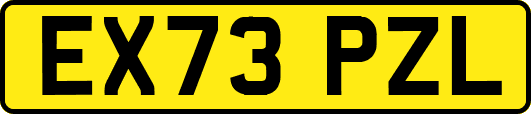 EX73PZL