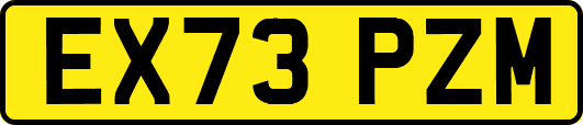 EX73PZM
