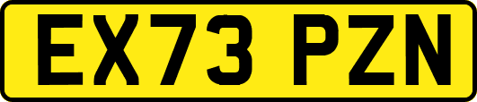 EX73PZN