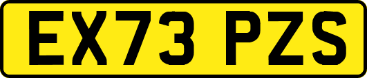 EX73PZS