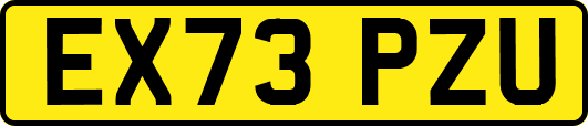 EX73PZU