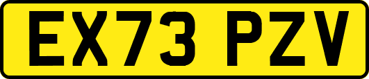 EX73PZV