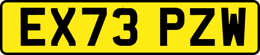 EX73PZW