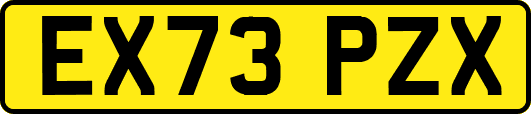 EX73PZX