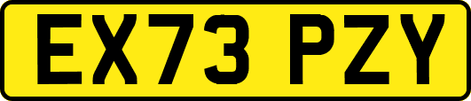 EX73PZY