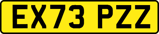 EX73PZZ